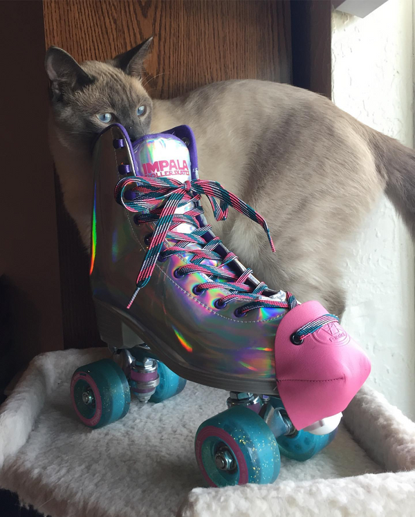 Riedell Leather Toe Caps